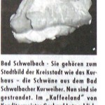 Peter Wolff - neue Schwäne für Bad Schwalbach